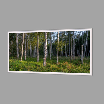 LED-Wandbild 60x120 cm quer – Wald
