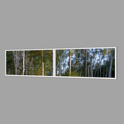 LED-Wandbild Zweiteiler quer 240x60 cm – Wald