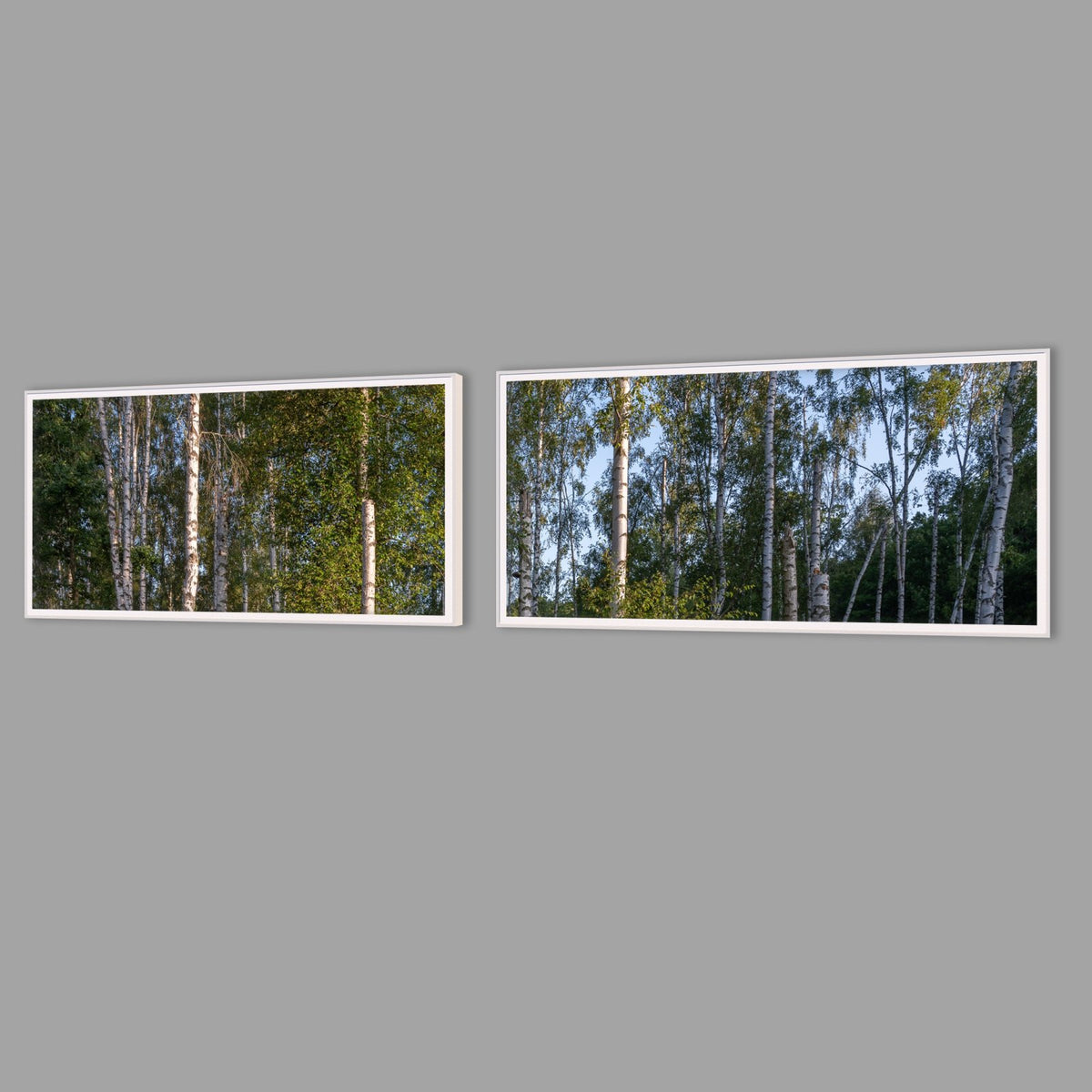 LED-Wandbild Zweiteiler quer mit Abstand – Wald