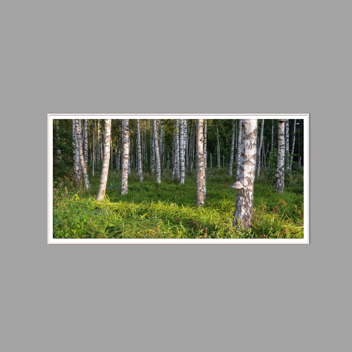 LED-Wandbild 60x120 cm quer – Wald