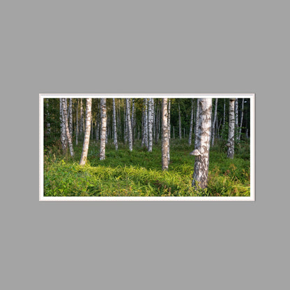 LED-Wandbild 60x120 cm quer – Wald