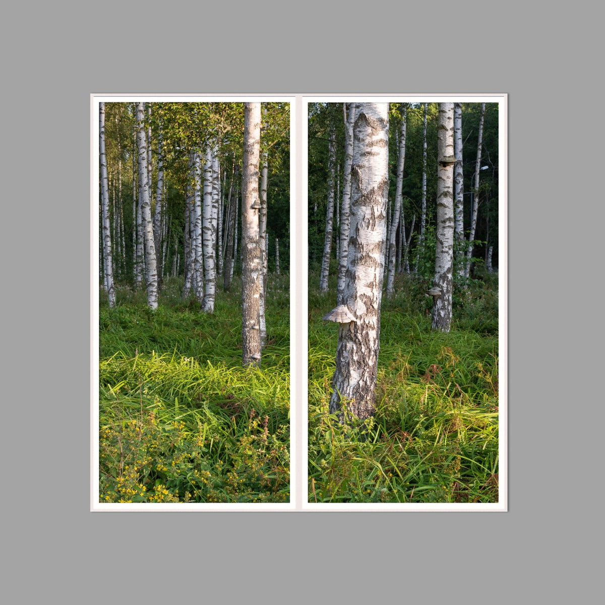 LED-Wandbild Zweiteiler hochkant 120x120 cm – Wald