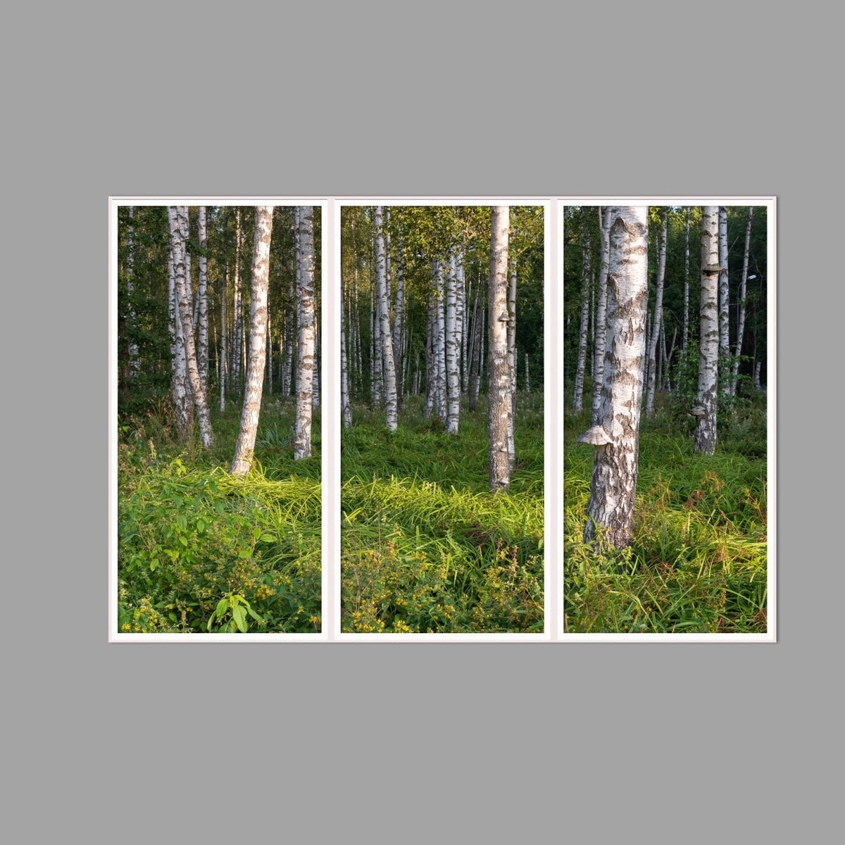 LED-Wandbild Dreiteiler hochkant 180x120 cm – Wald