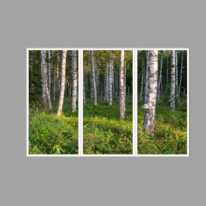 LED-Wandbild Dreiteiler hochkant 180x120 cm – Wald