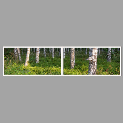 LED-Wandbild Zweiteiler quer 240x60 cm – Wald