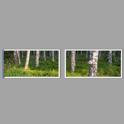 LED-Wandbild Zweiteiler quer mit Abstand – Wald