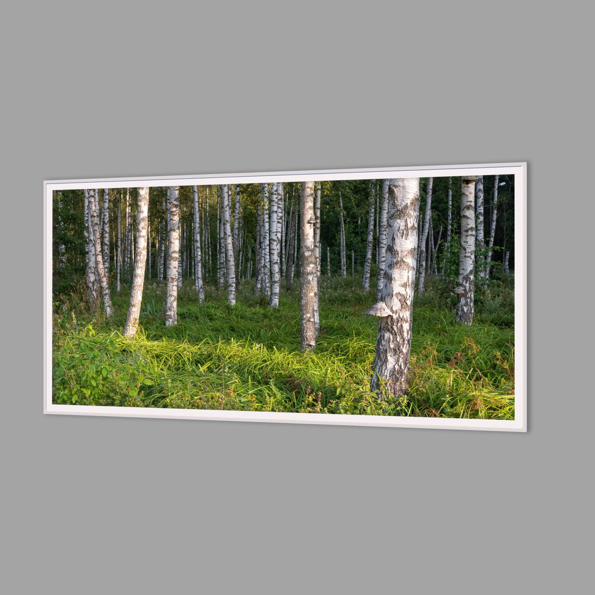 LED-Wandbild 60x120 cm quer – Wald