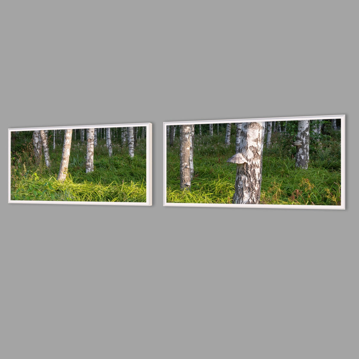 LED-Wandbild Zweiteiler quer mit Abstand – Wald