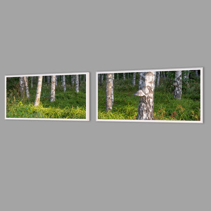 LED-Wandbild Zweiteiler quer mit Abstand – Wald