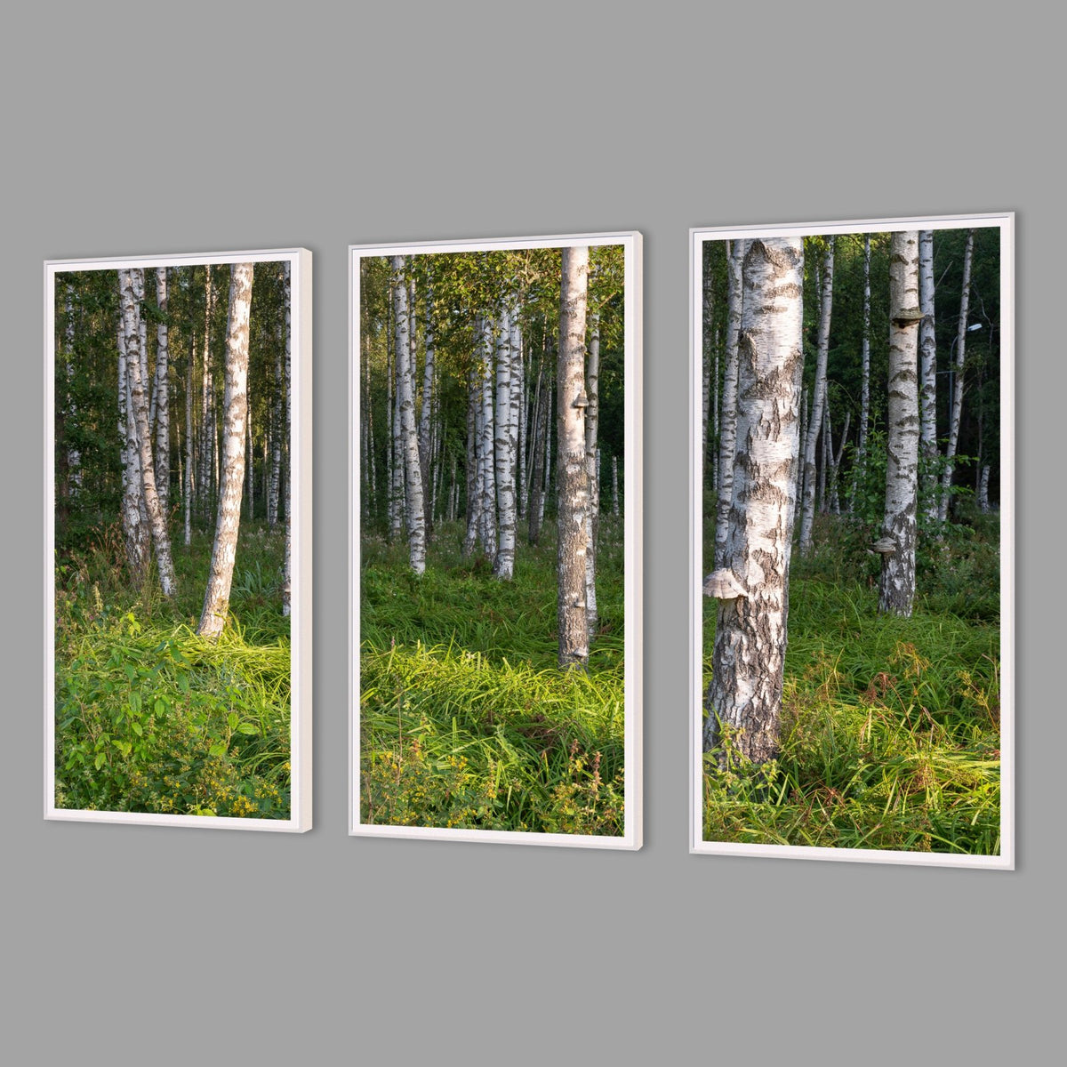 LED-Wandbild Dreiteiler hochkant mit Abstand – Wald
