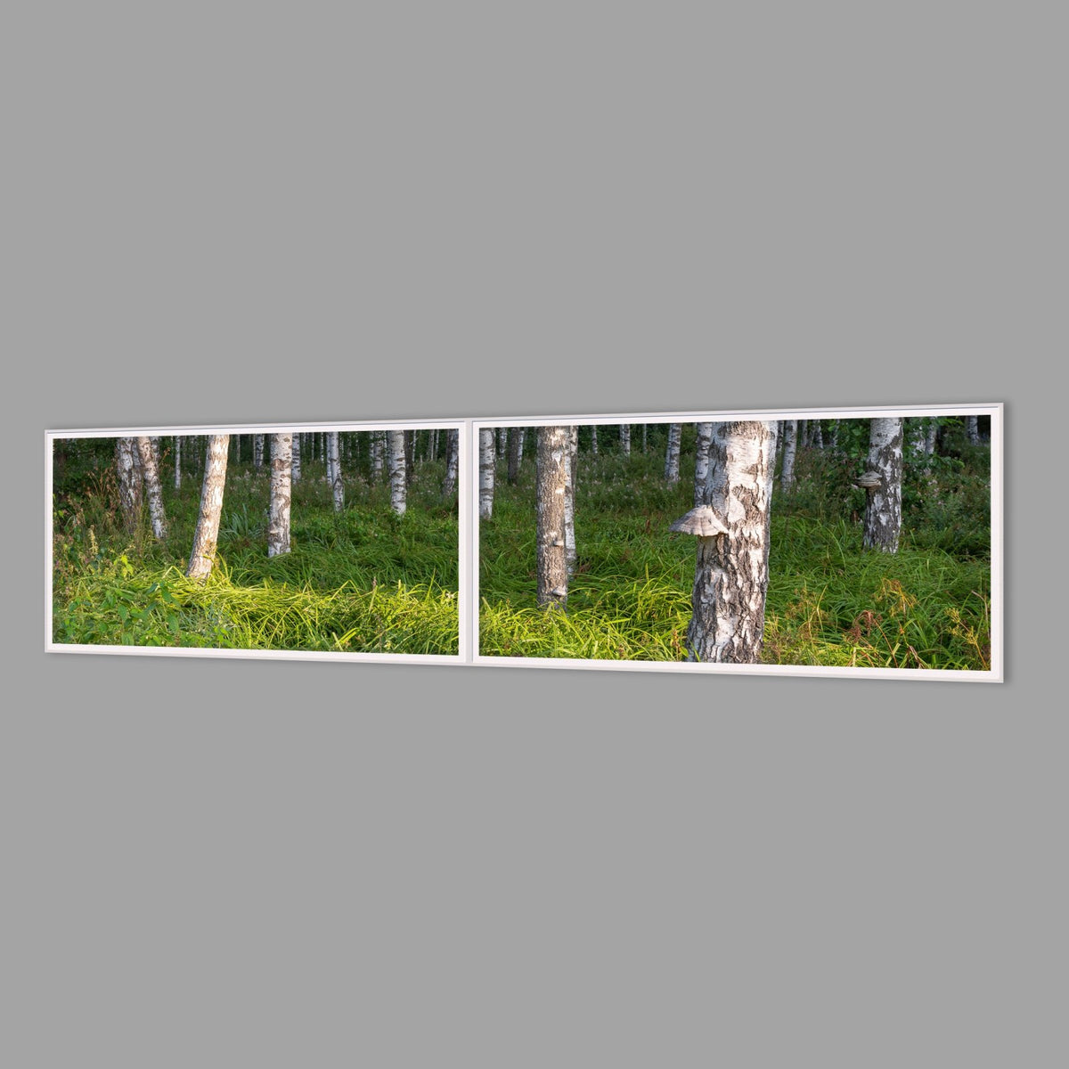 LED-Wandbild Zweiteiler quer 240x60 cm – Wald
