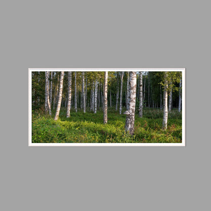 LED-Wandbild 60x120 cm quer – Wald