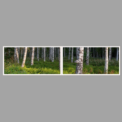 LED-Wandbild Zweiteiler quer 240x60 cm – Wald