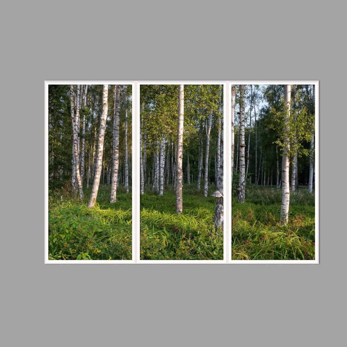 LED-Wandbild Dreiteiler hochkant 180x120 cm – Wald
