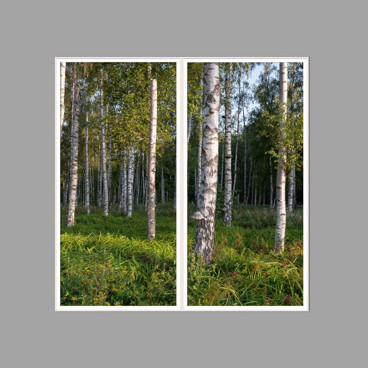 LED-Wandbild Zweiteiler hochkant 120x120 cm – Wald