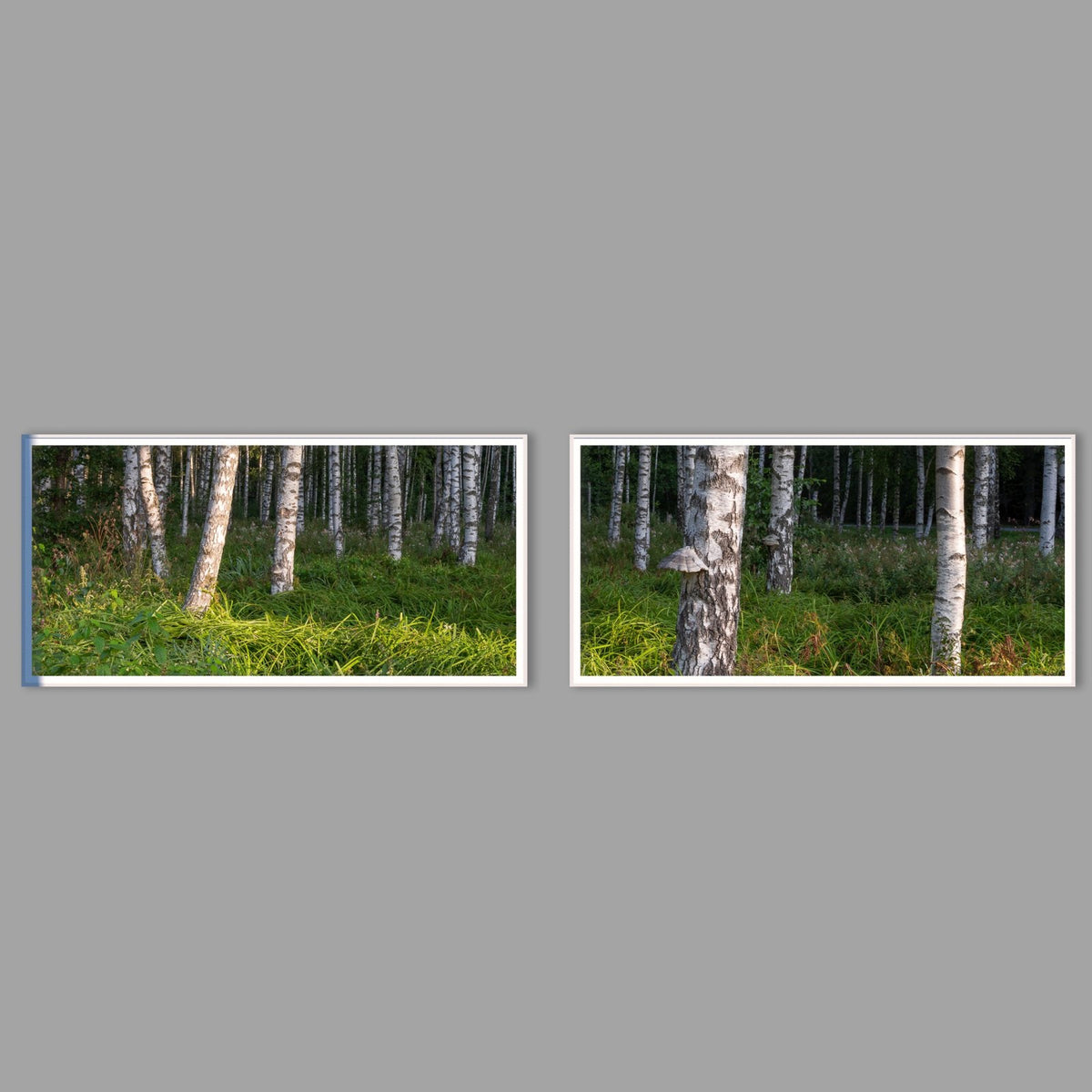 LED-Wandbild Zweiteiler quer mit Abstand – Wald