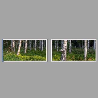 LED-Wandbild Zweiteiler quer mit Abstand – Wald