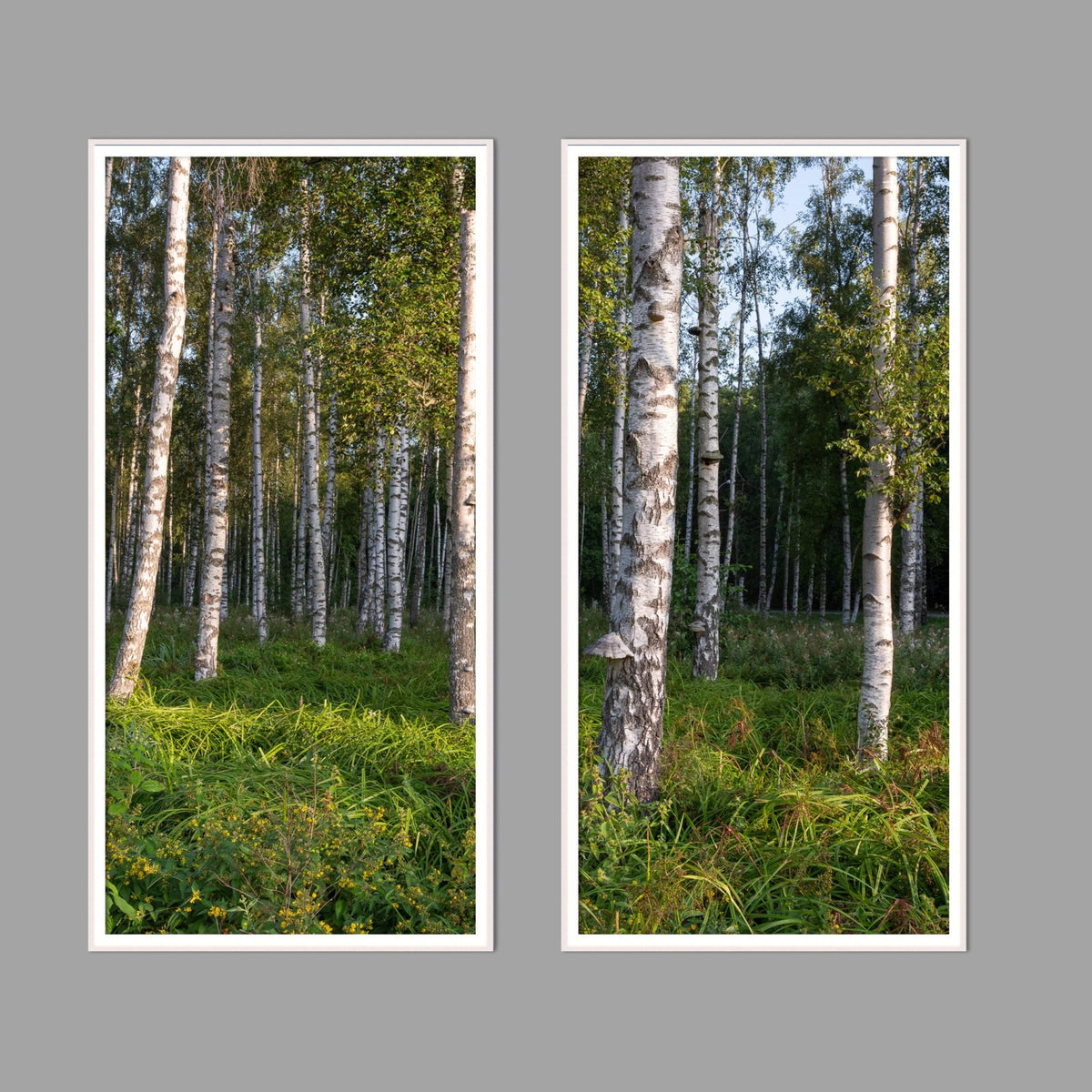 LED-Wandbild Zweiteiler hochkant mit Abstand – Wald
