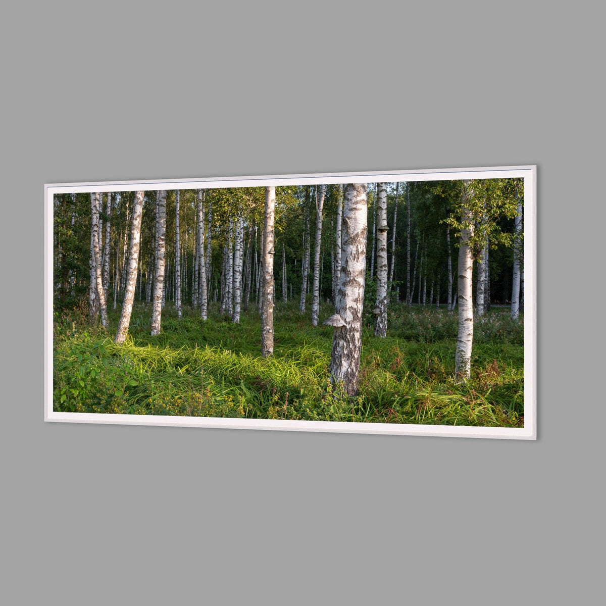 LED-Wandbild 60x120 cm quer – Wald