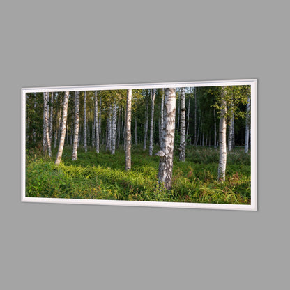 LED-Wandbild 60x120 cm quer – Wald
