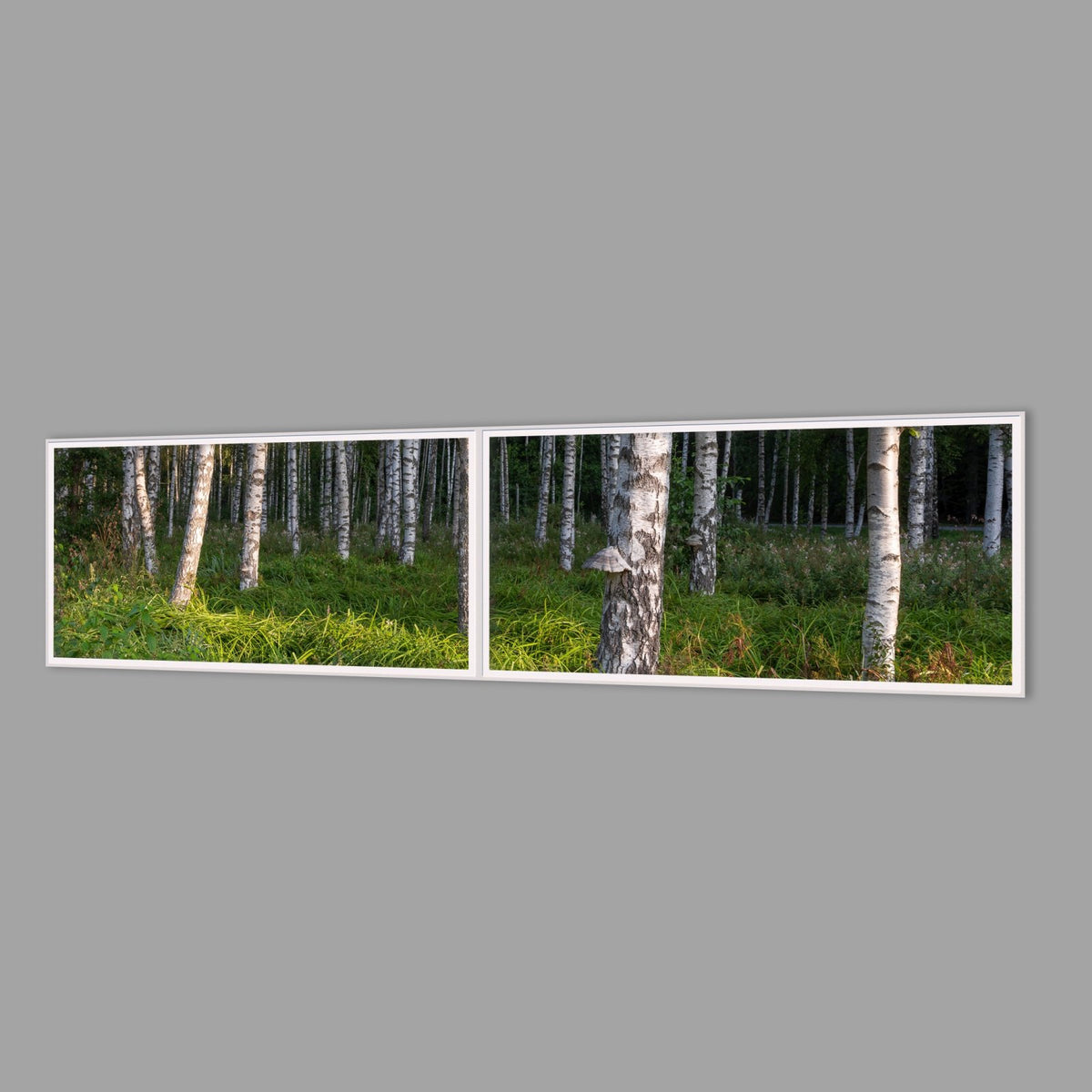 LED-Wandbild Zweiteiler quer 240x60 cm – Wald