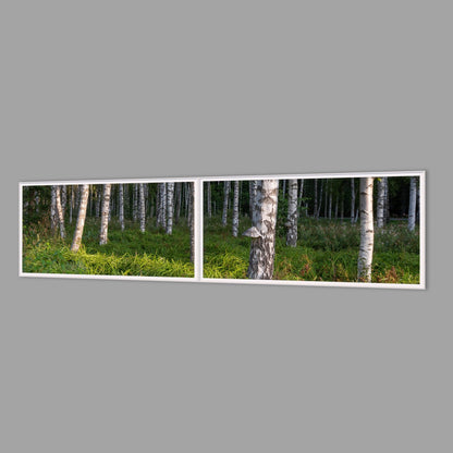 LED-Wandbild Zweiteiler quer 240x60 cm – Wald