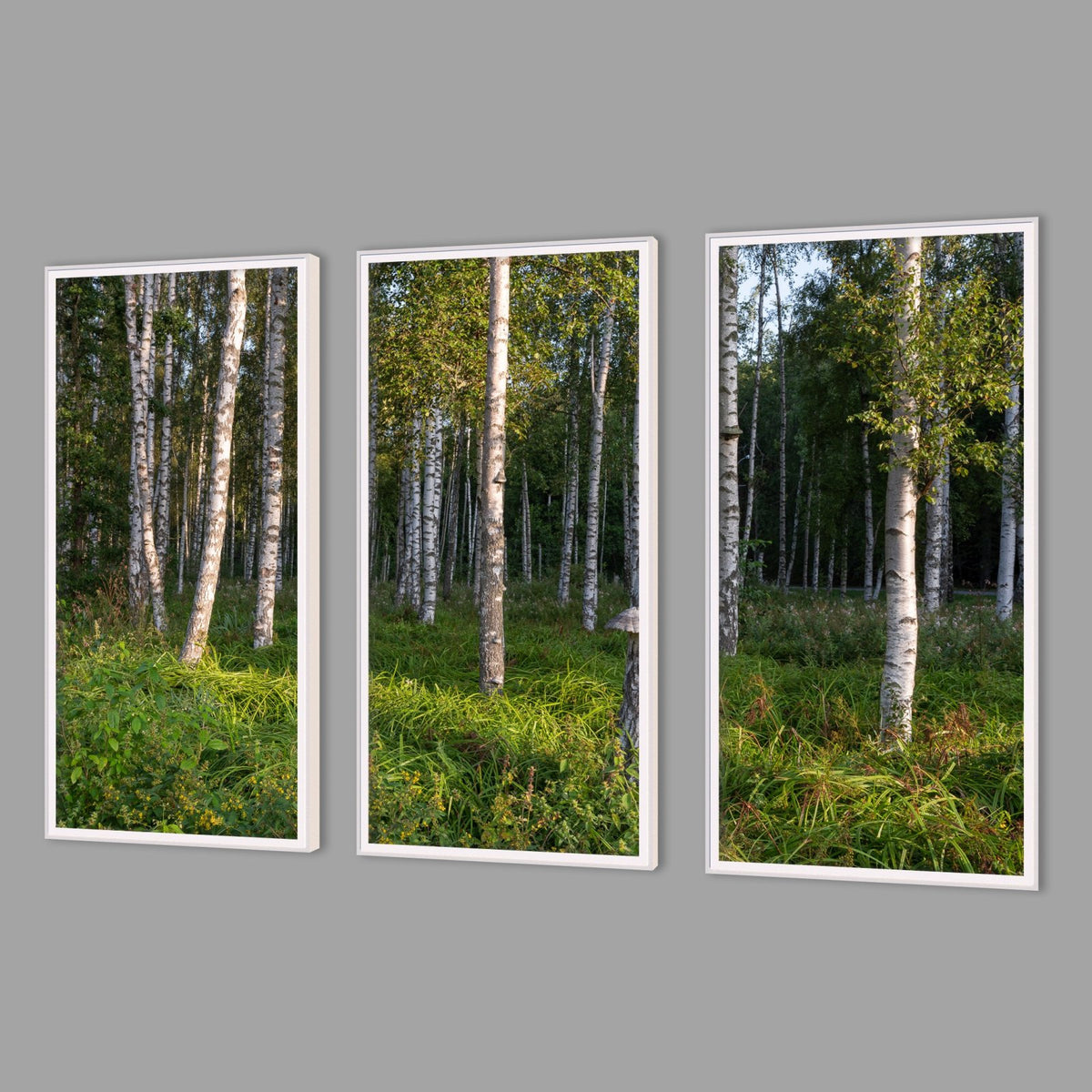 LED-Wandbild Dreiteiler hochkant mit Abstand – Wald
