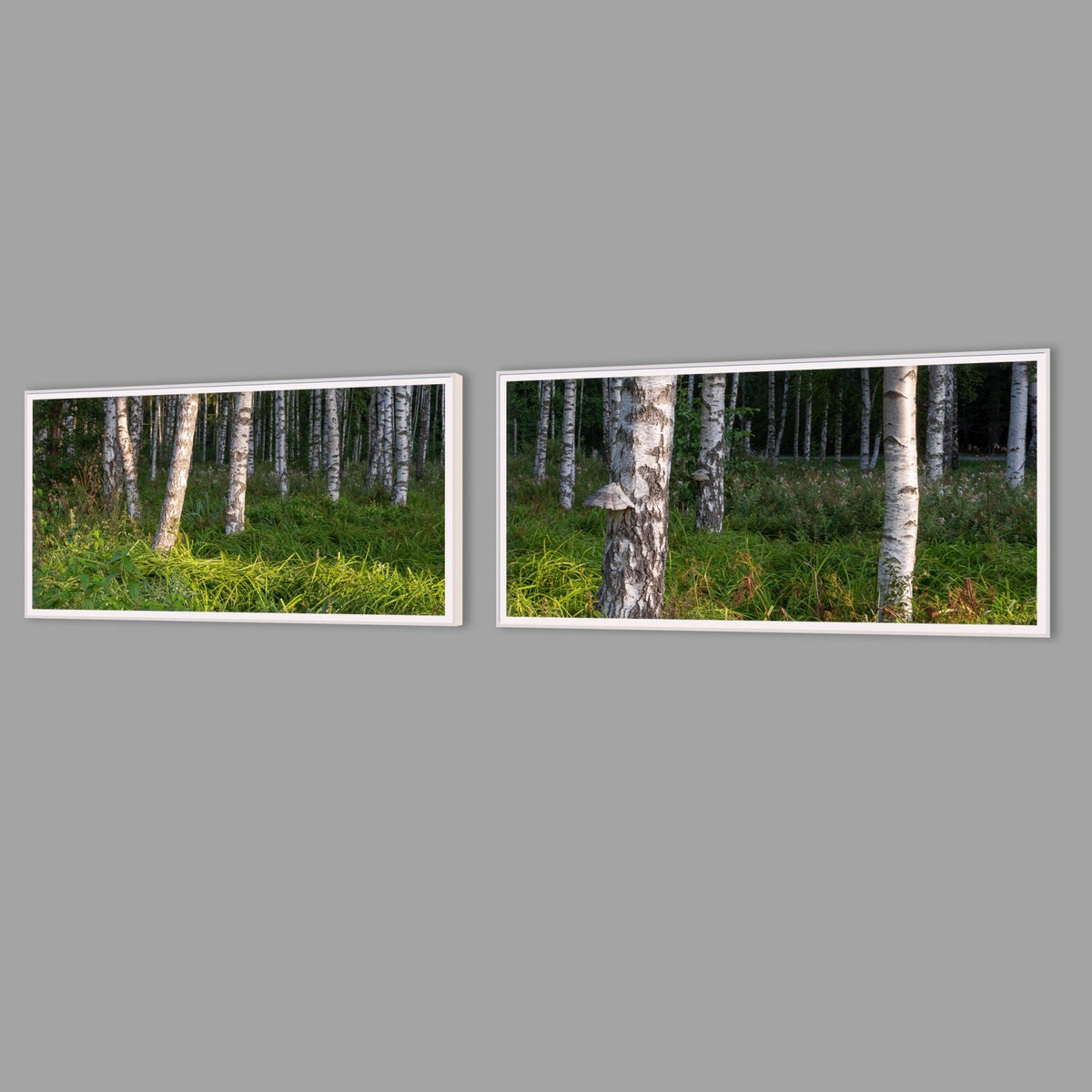 LED-Wandbild Zweiteiler quer mit Abstand – Wald