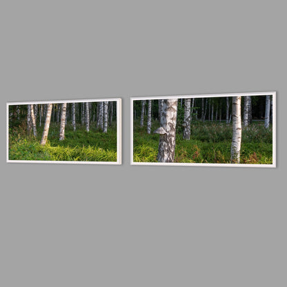 LED-Wandbild Zweiteiler quer mit Abstand – Wald