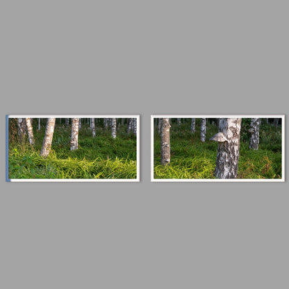LED-Wandbild Zweiteiler quer mit Abstand – Wald