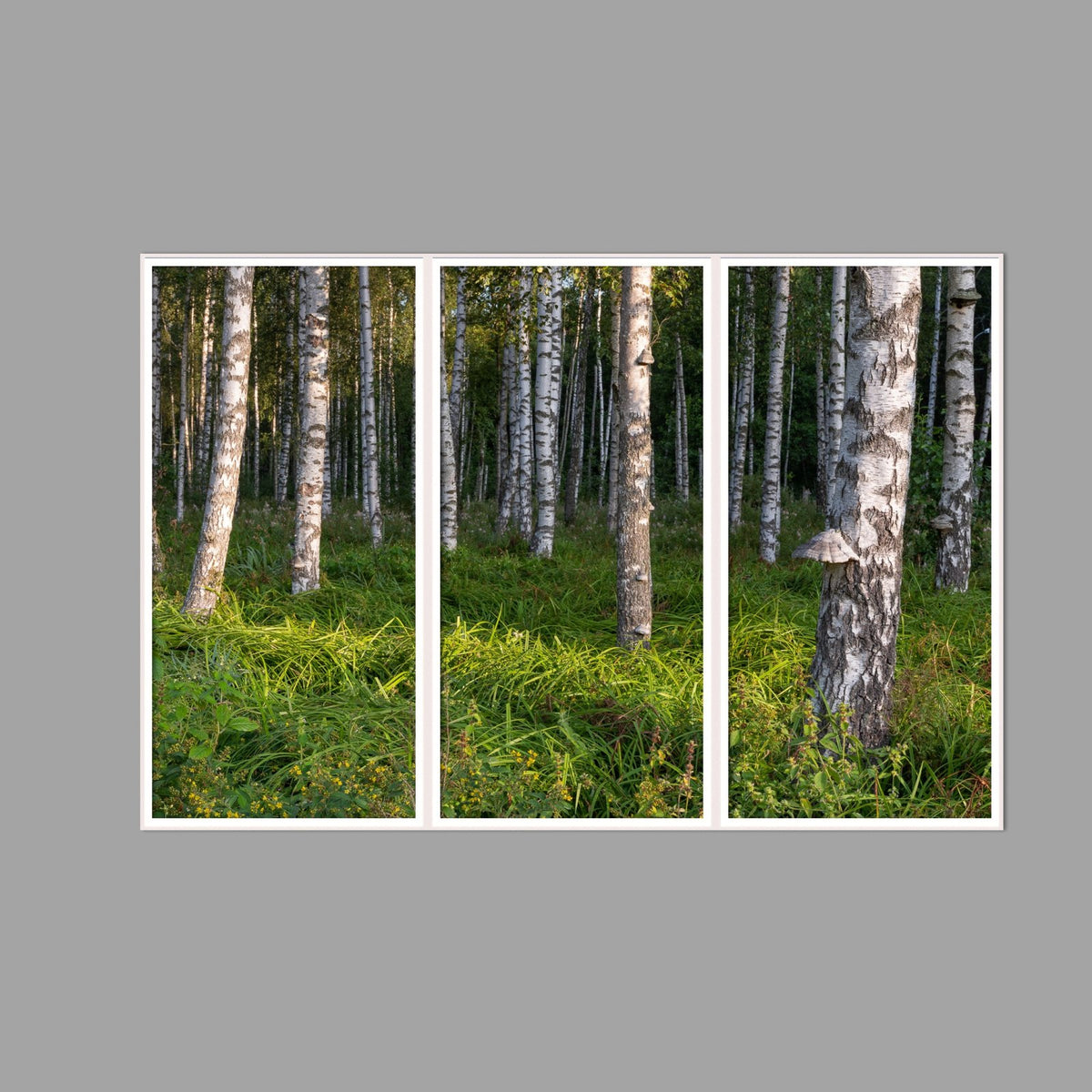 LED-Wandbild Dreiteiler hochkant 180x120 cm – Wald