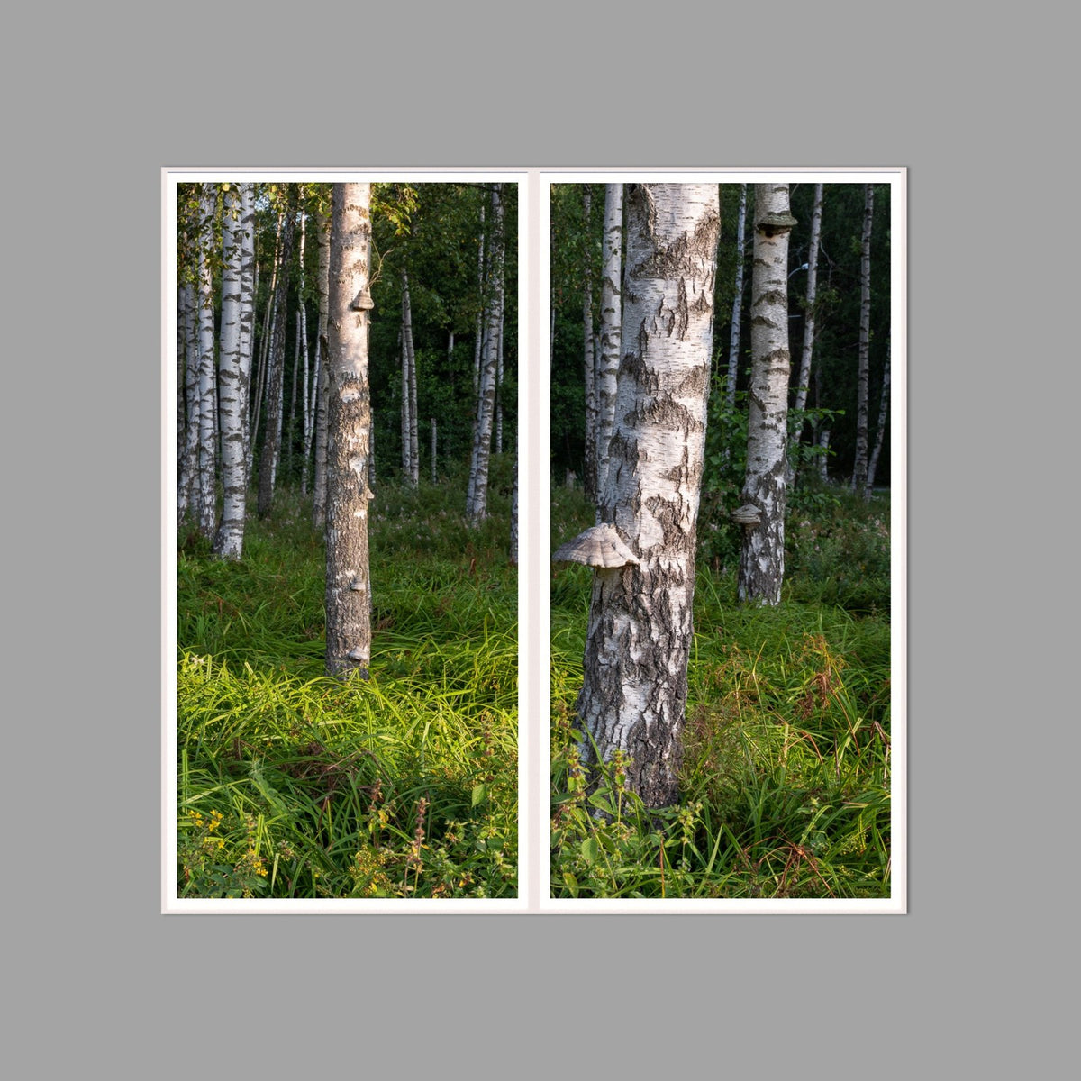 LED-Wandbild Zweiteiler hochkant 120x120 cm – Wald