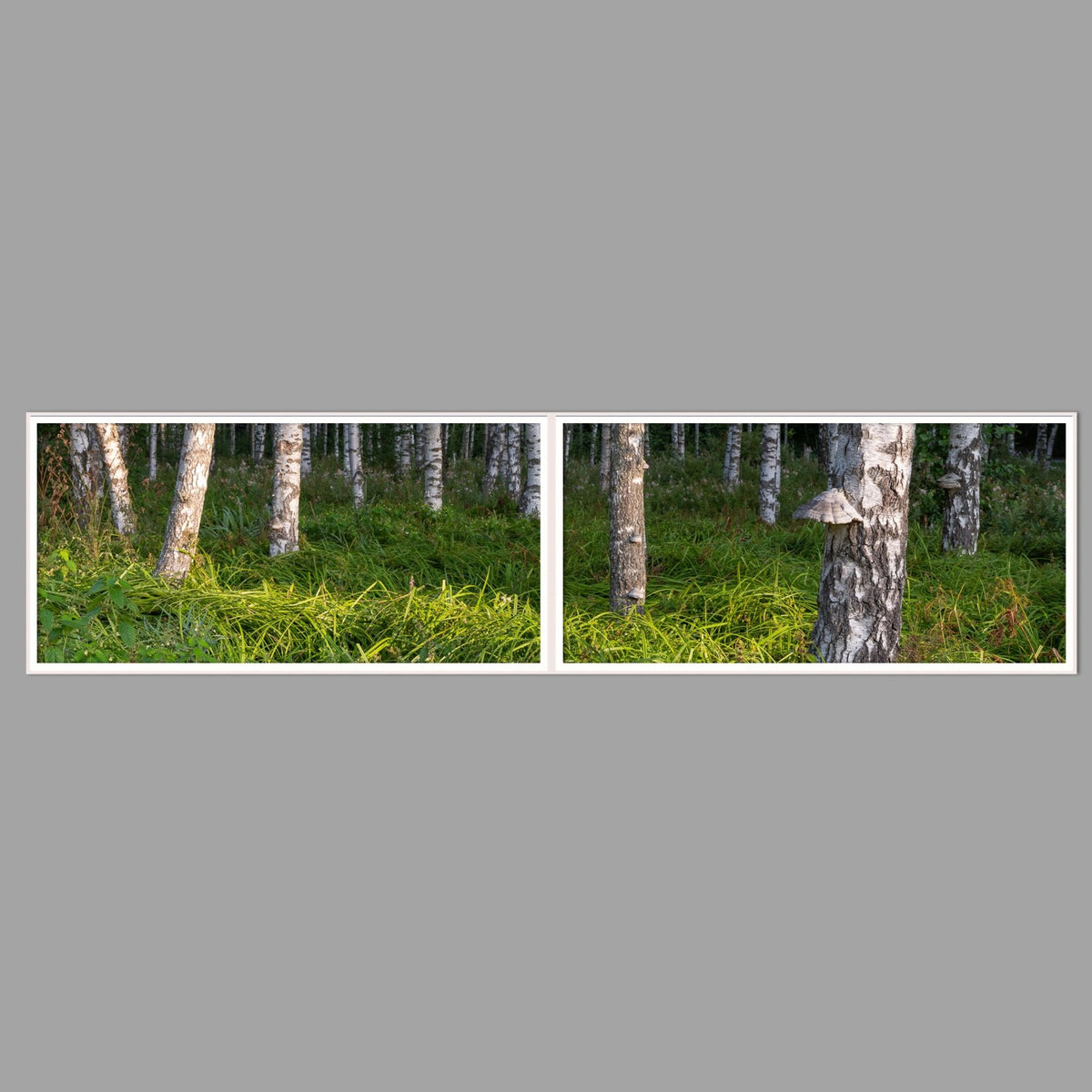 LED-Wandbild Zweiteiler quer 240x60 cm – Wald