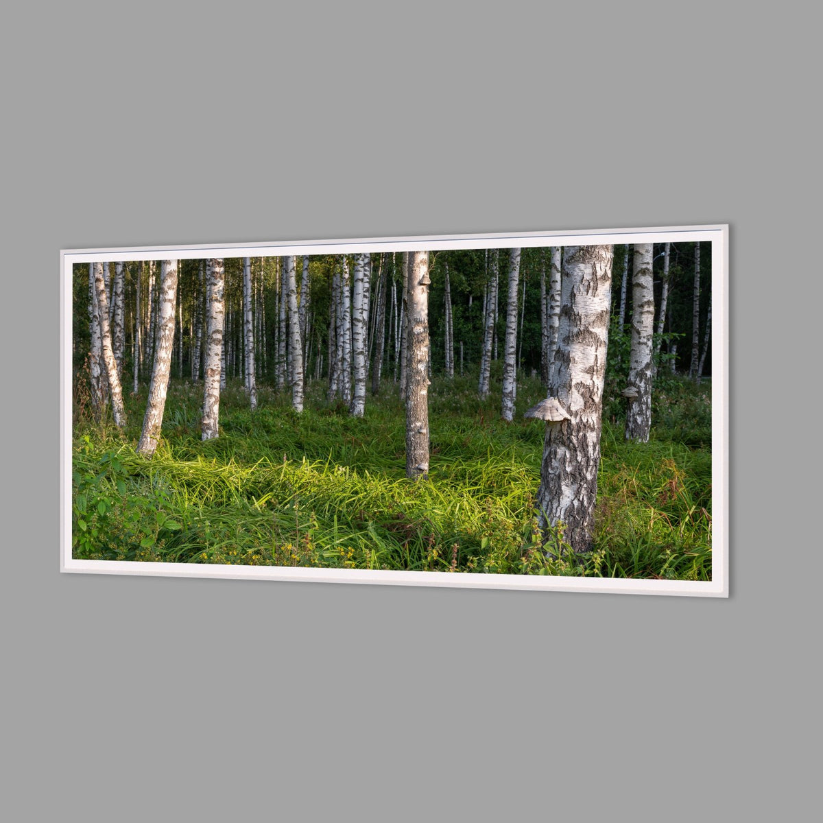 LED-Wandbild 60x120 cm quer – Wald