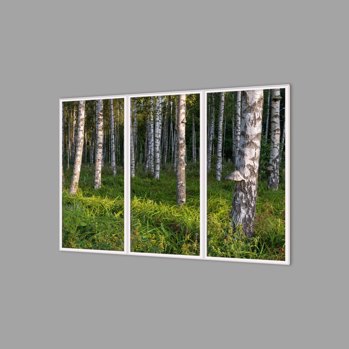 LED-Wandbild Dreiteiler hochkant 180x120 cm – Wald