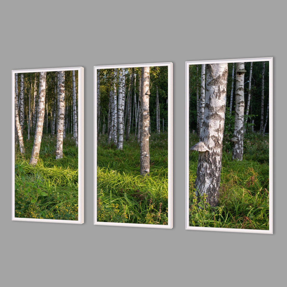 LED-Wandbild Dreiteiler hochkant mit Abstand – Wald