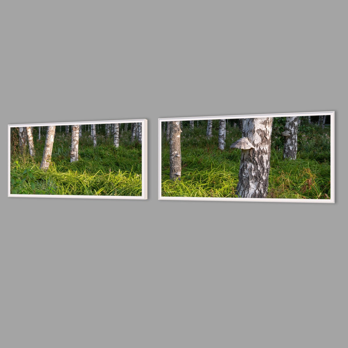 LED-Wandbild Zweiteiler quer mit Abstand – Wald