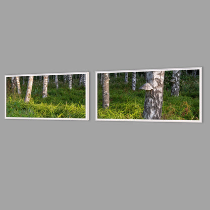 LED-Wandbild Zweiteiler quer mit Abstand – Wald