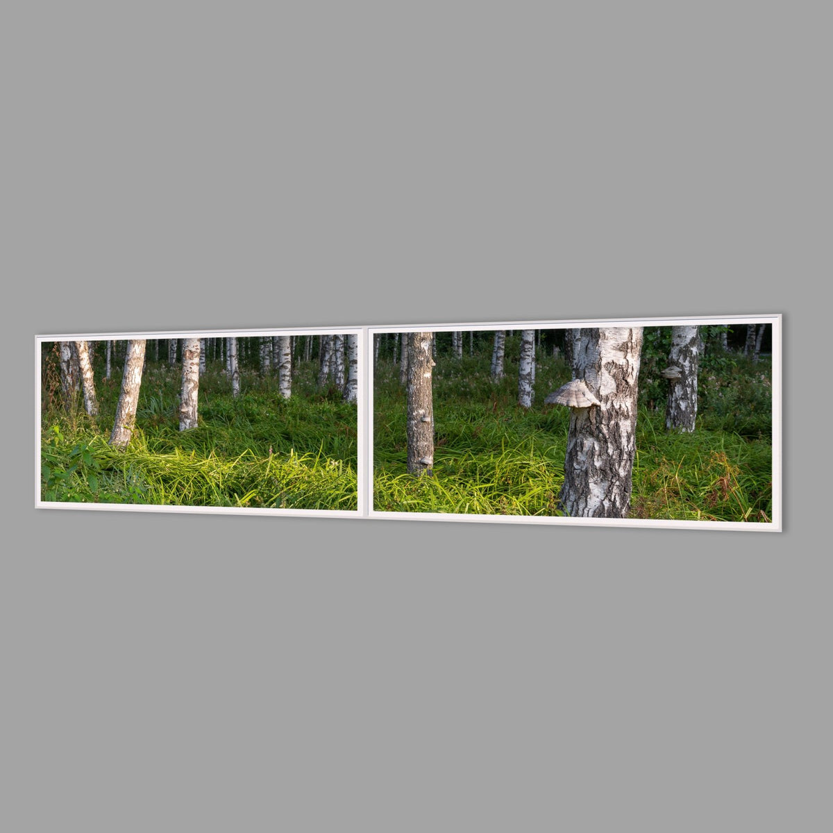 LED-Wandbild Zweiteiler quer 240x60 cm – Wald