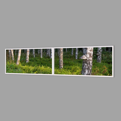 LED-Wandbild Zweiteiler quer 240x60 cm – Wald