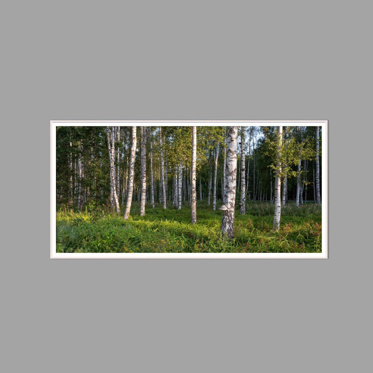 LED-Wandbild 60x120 cm quer – Wald
