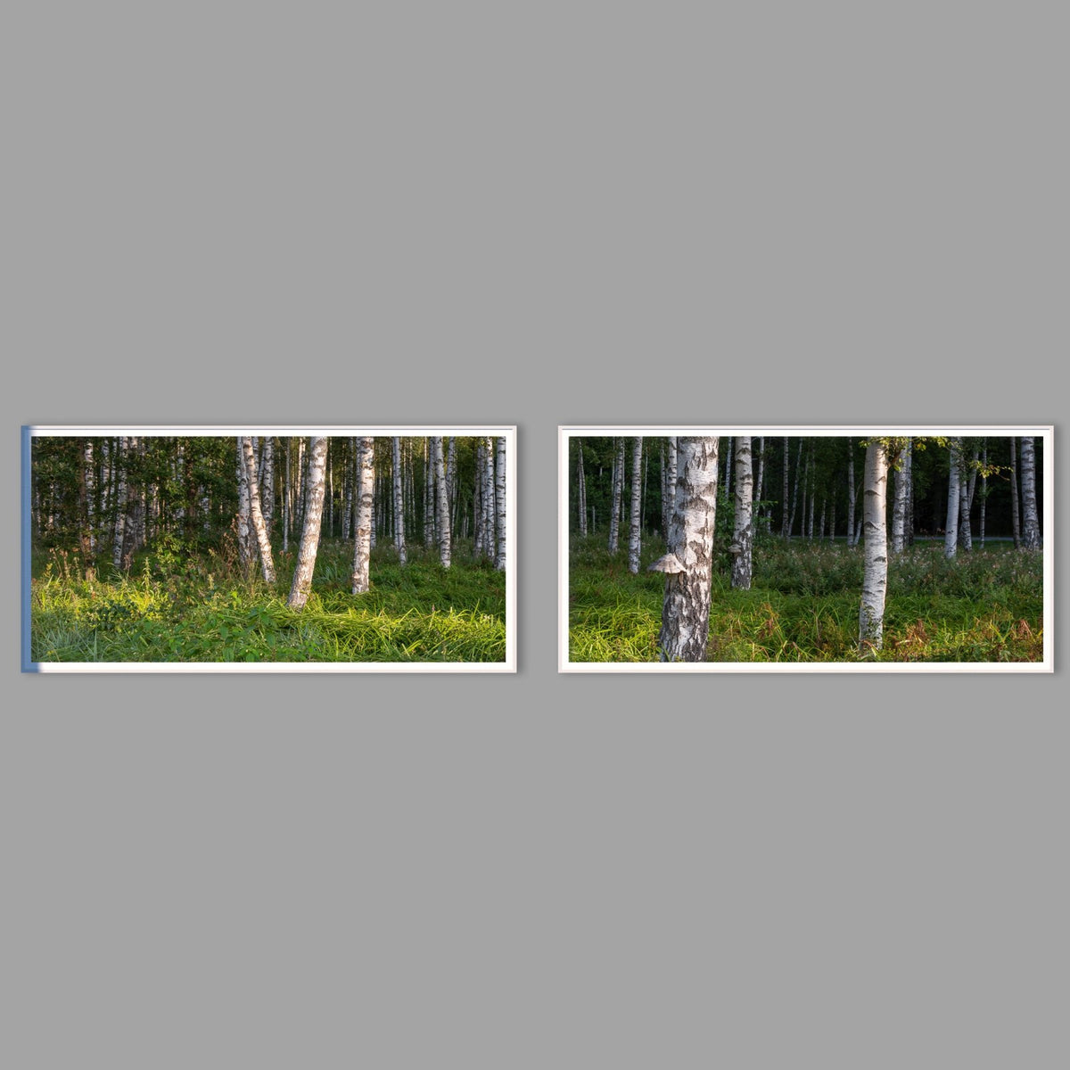 LED-Wandbild Zweiteiler quer mit Abstand – Wald