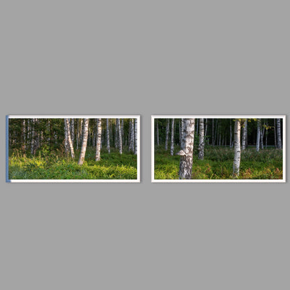 LED-Wandbild Zweiteiler quer mit Abstand – Wald