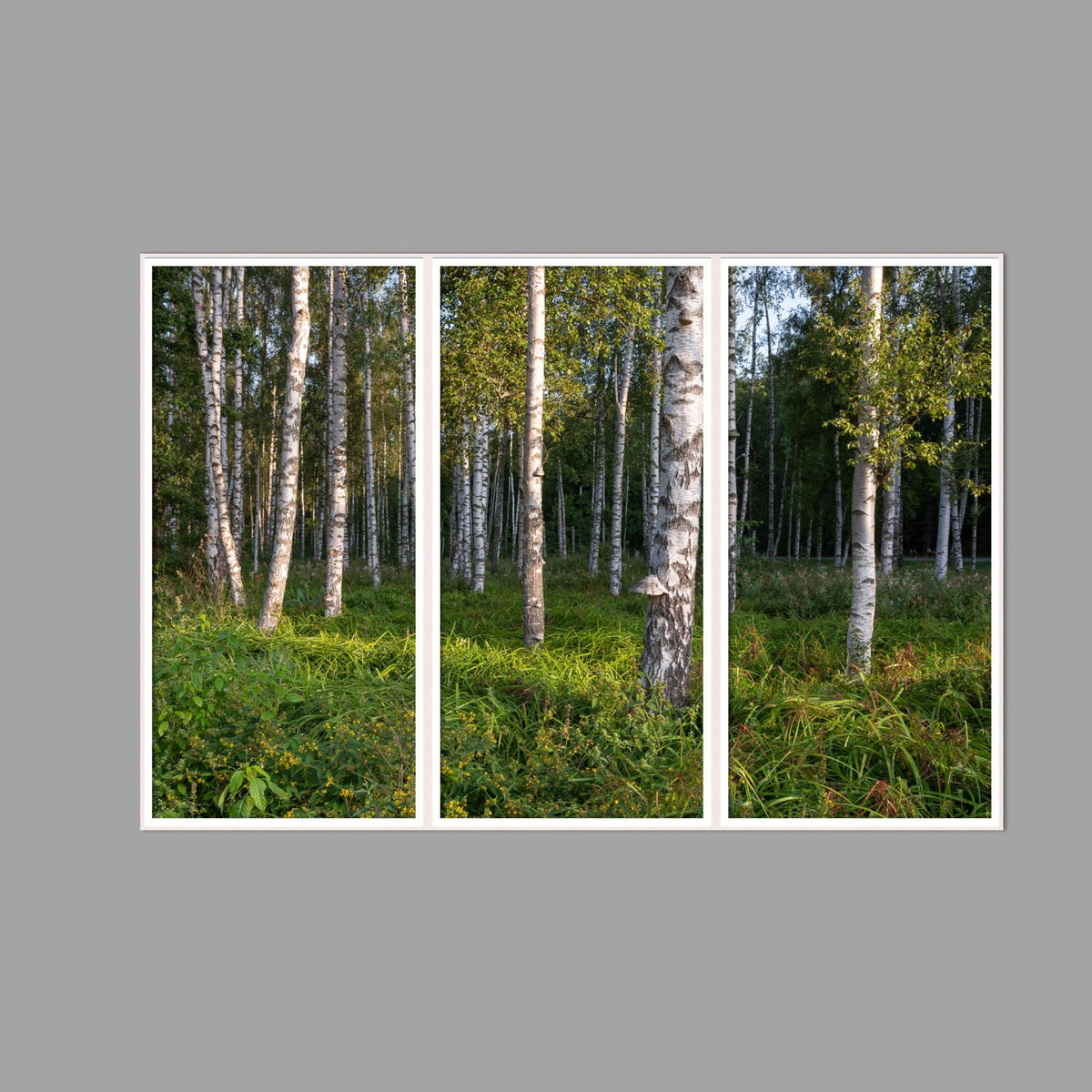 LED-Wandbild Dreiteiler hochkant 180x120 cm – Wald