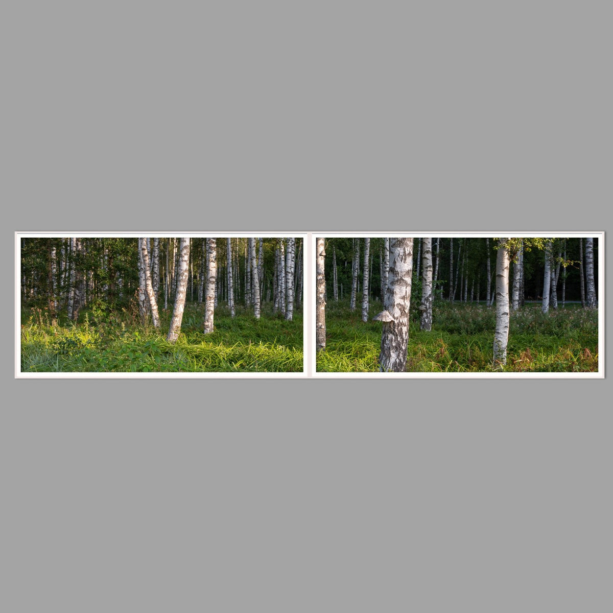 LED-Wandbild Zweiteiler quer 240x60 cm – Wald