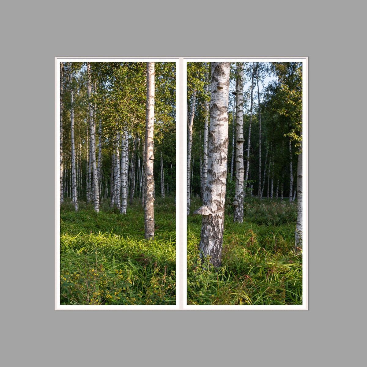 LED-Wandbild Zweiteiler hochkant 120x120 cm – Wald