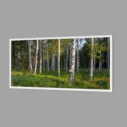LED-Wandbild 60x120 cm quer – Wald