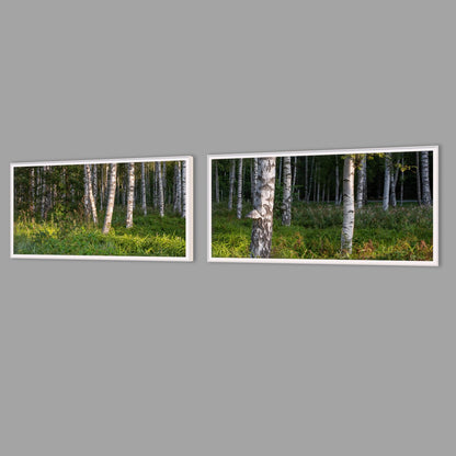 LED-Wandbild Zweiteiler quer mit Abstand – Wald