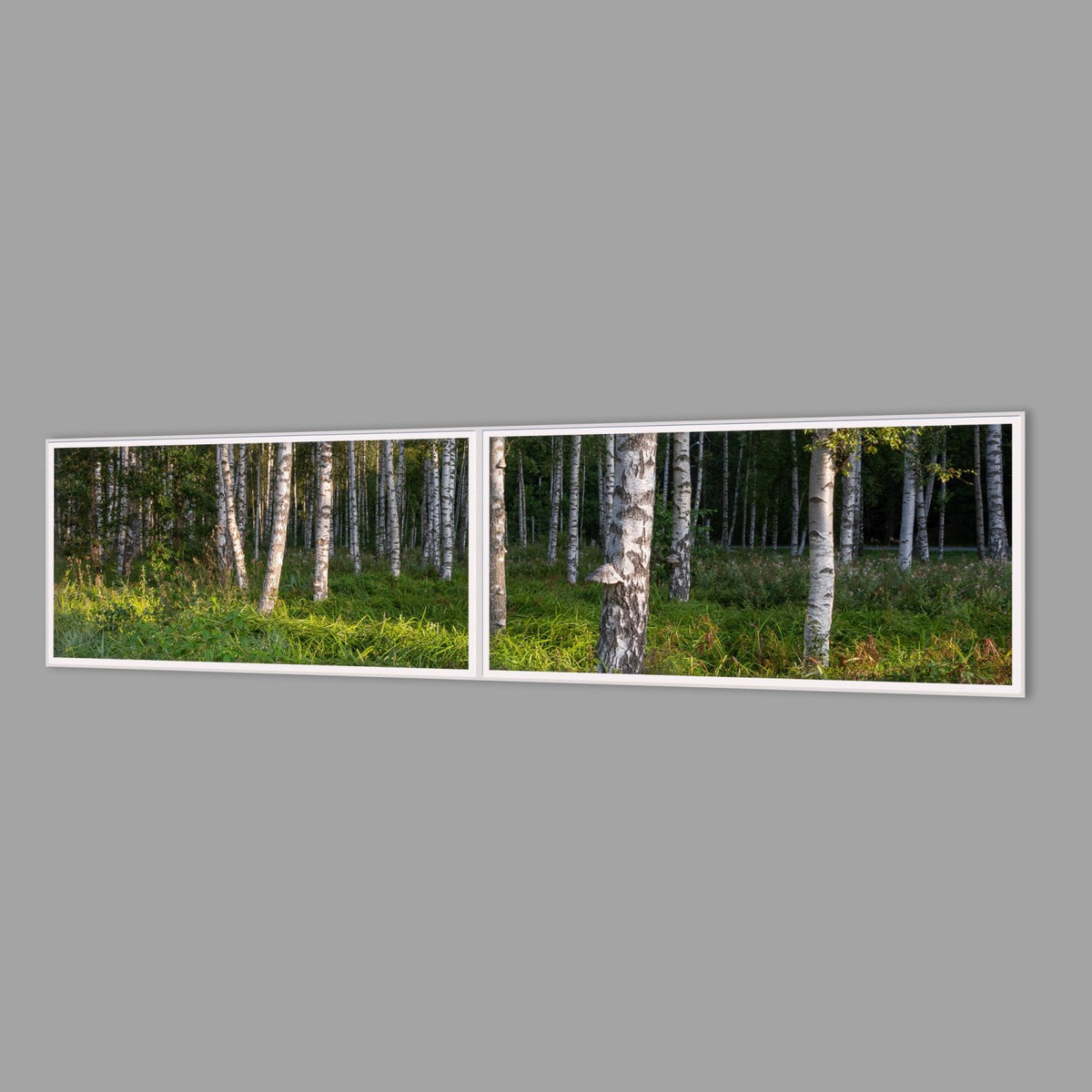 LED-Wandbild Zweiteiler quer 240x60 cm – Wald