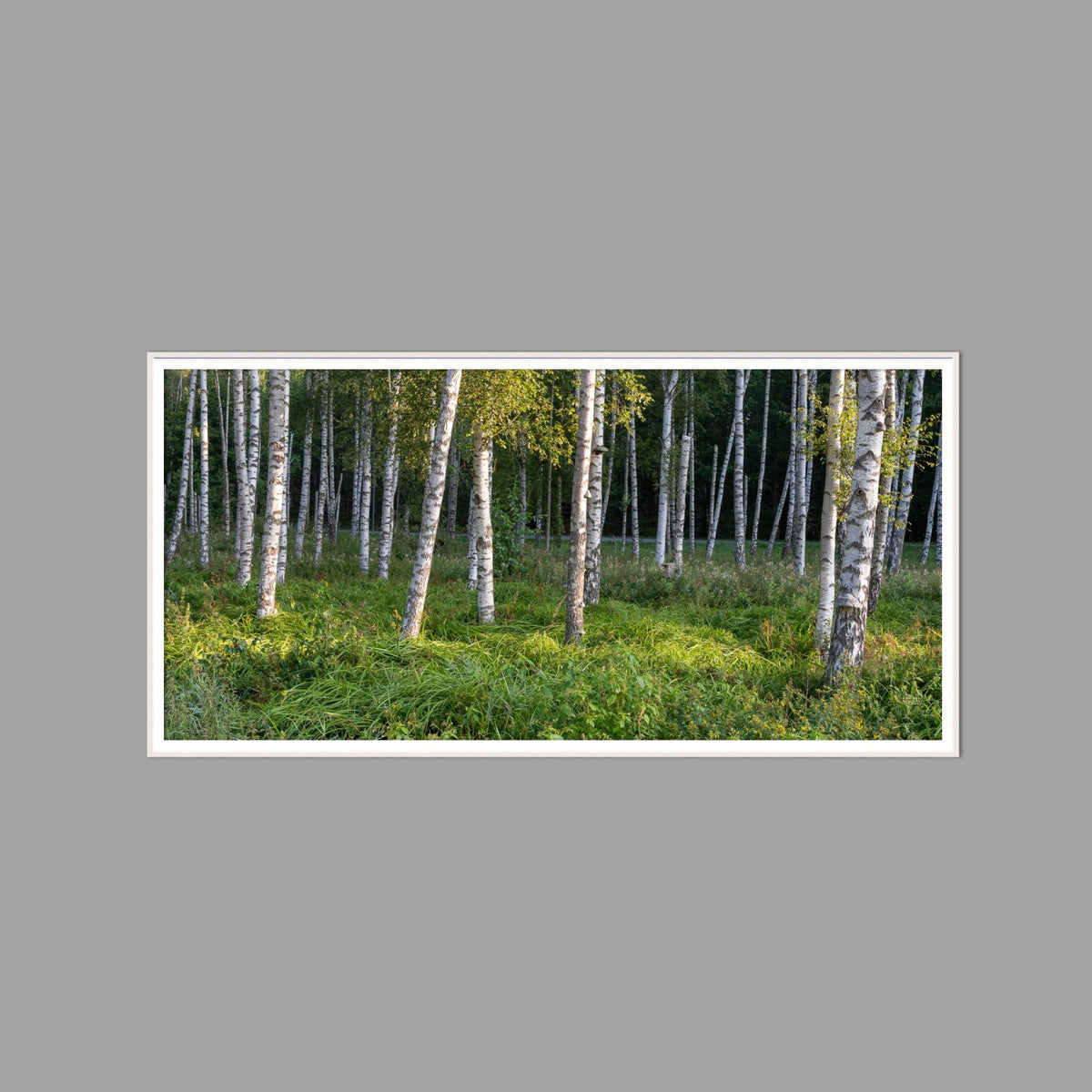 LED-Wandbild 60x120 cm quer – Wald